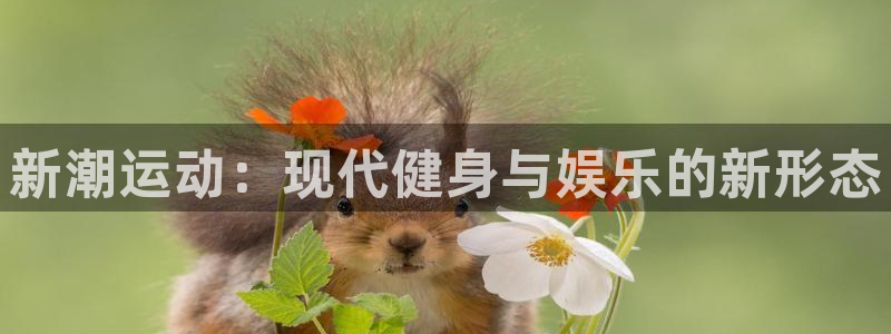 678体育官网下载招商电话地址是多少:新潮运动:现代健身与娱